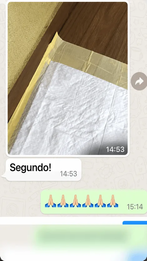 Depoimento de Depoimento 6